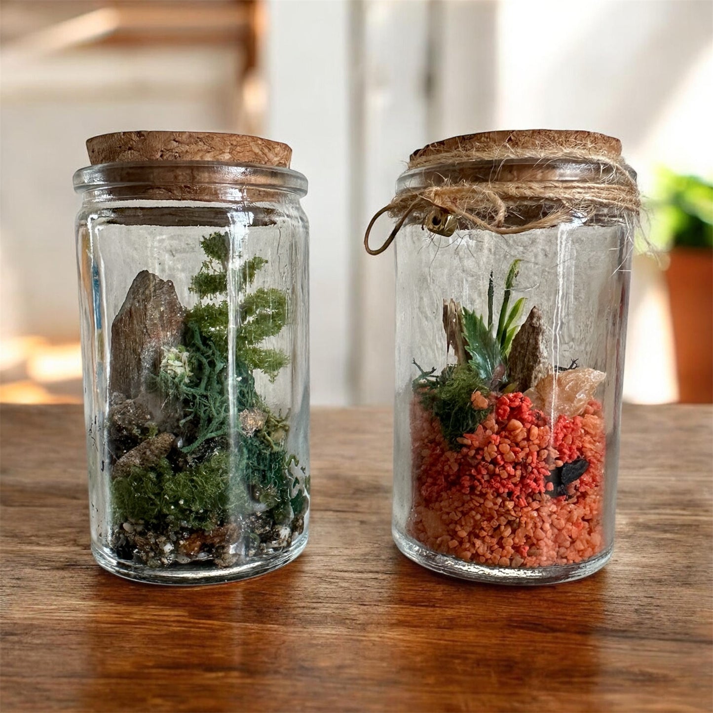 Fioles - Mini Paysages